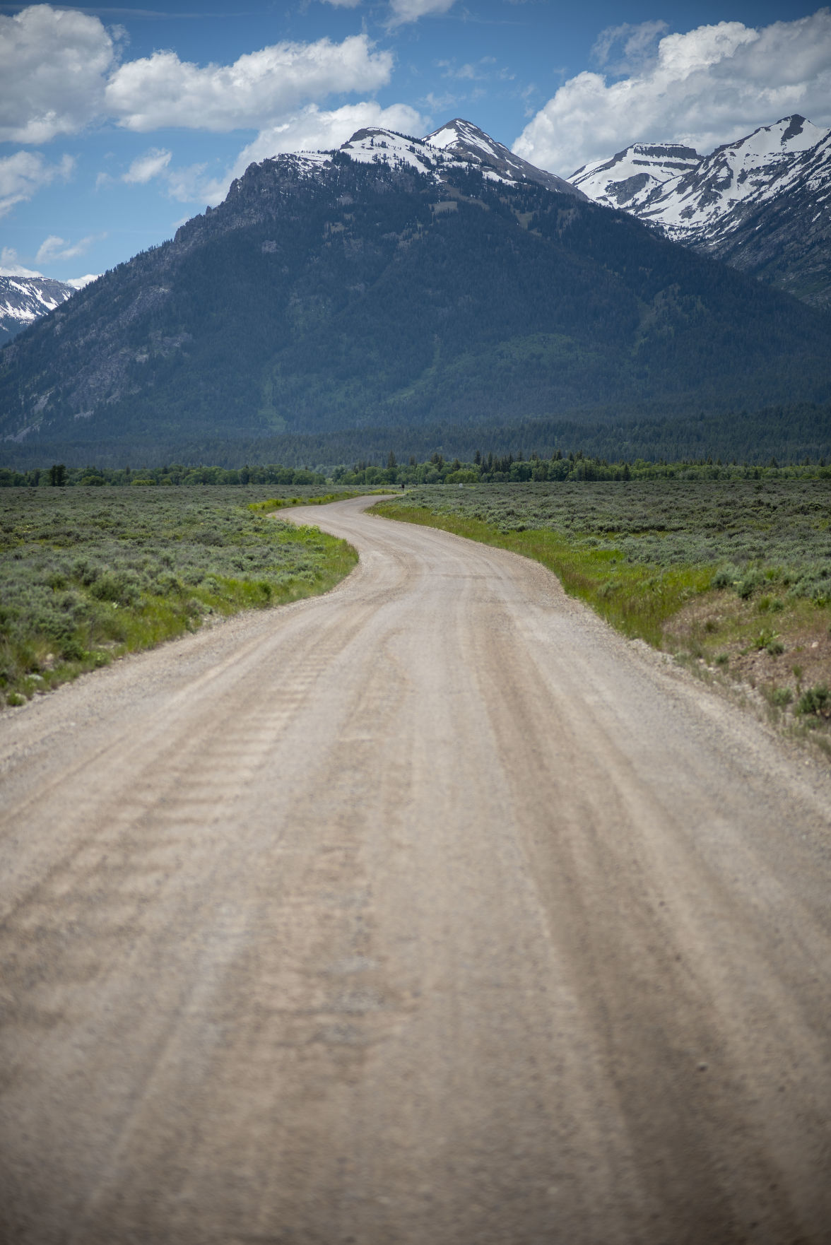 Meadow Road